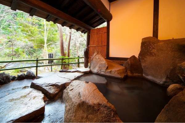 自然を眺められる岩風呂の貸切温泉