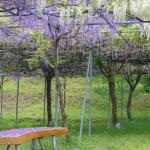 市比野温泉画像