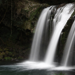 河津温泉郷画像