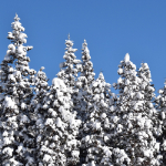 妙高高原温泉郷画像