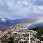 猿ヶ京温泉画像