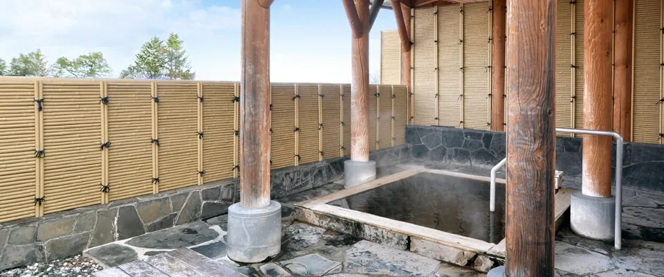 幕別温泉パークホテル 悠湯館画像2