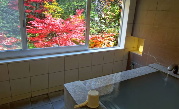 登別 石水亭画像2