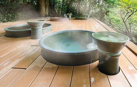 露天風呂_森の湯の施設画像 - 9