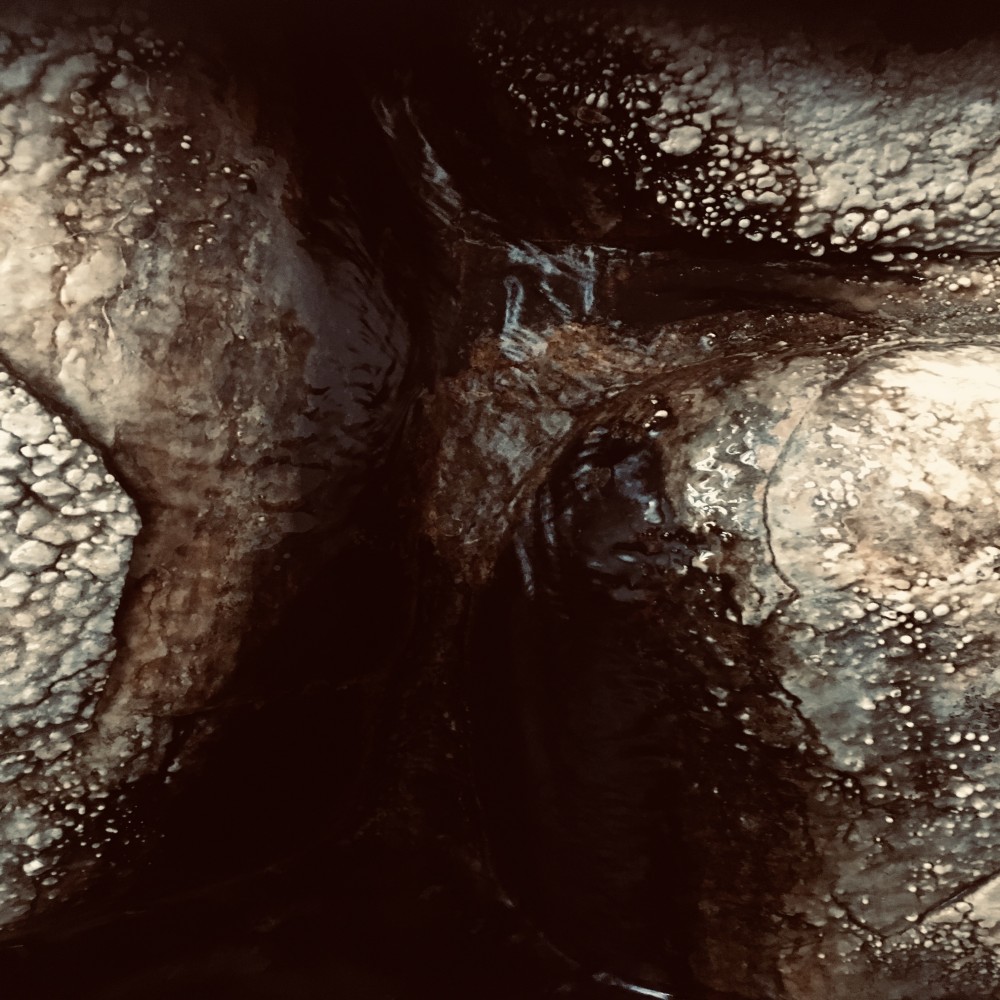 民宿 はまゆう画像2