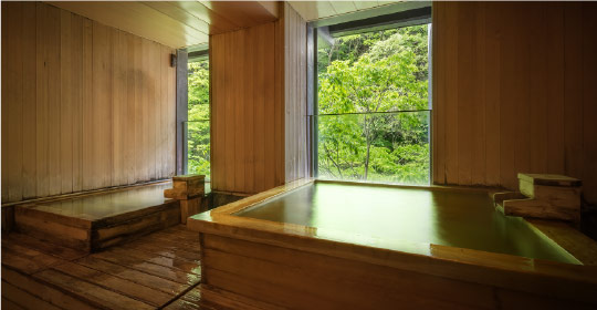 会津東山温泉 原瀧画像1