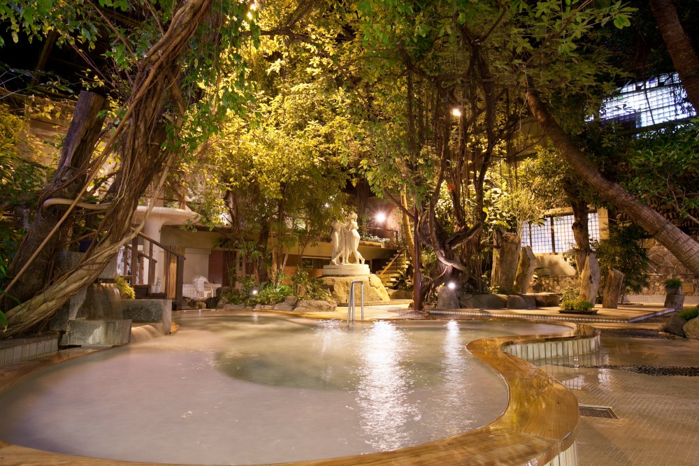 大浴場：ジャングル風呂（男湯女湯日替わり制）の施設画像 - 6