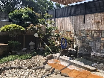 つばきのサムネイル画像