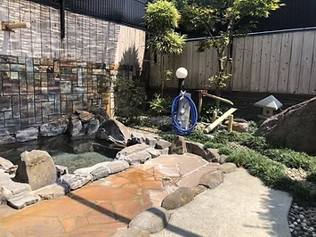 竹のサムネイル画像