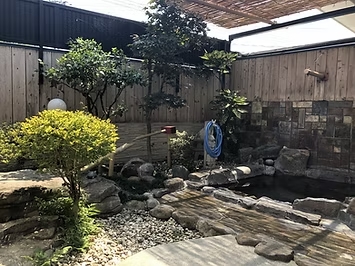 梅のサムネイル画像