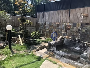 たんぽぽのサムネイル画像