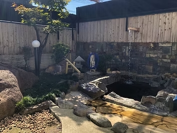 松のサムネイル画像