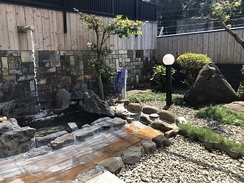 すいせんのサムネイル画像