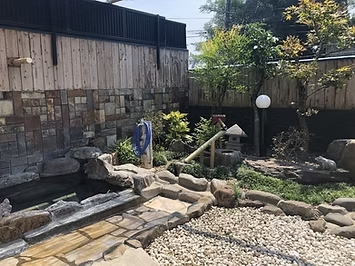 ばらのサムネイル画像