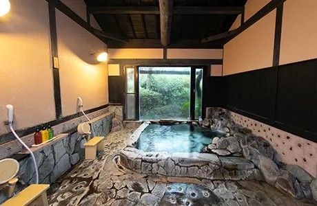 10.八重桜（角岩）のサムネイル画像