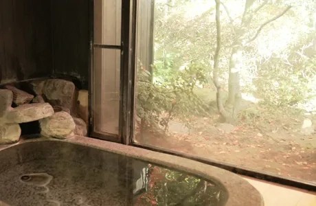 11.寒桜(御影石くりぬき)の施設画像 - 11