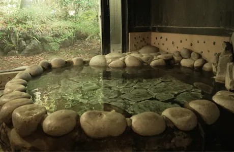 13.山桜(川原丸石)の施設画像 - 13