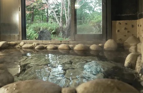 16.佐野桜(川原丸石)の施設画像 - 16