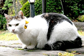 館長の施設画像 - 21