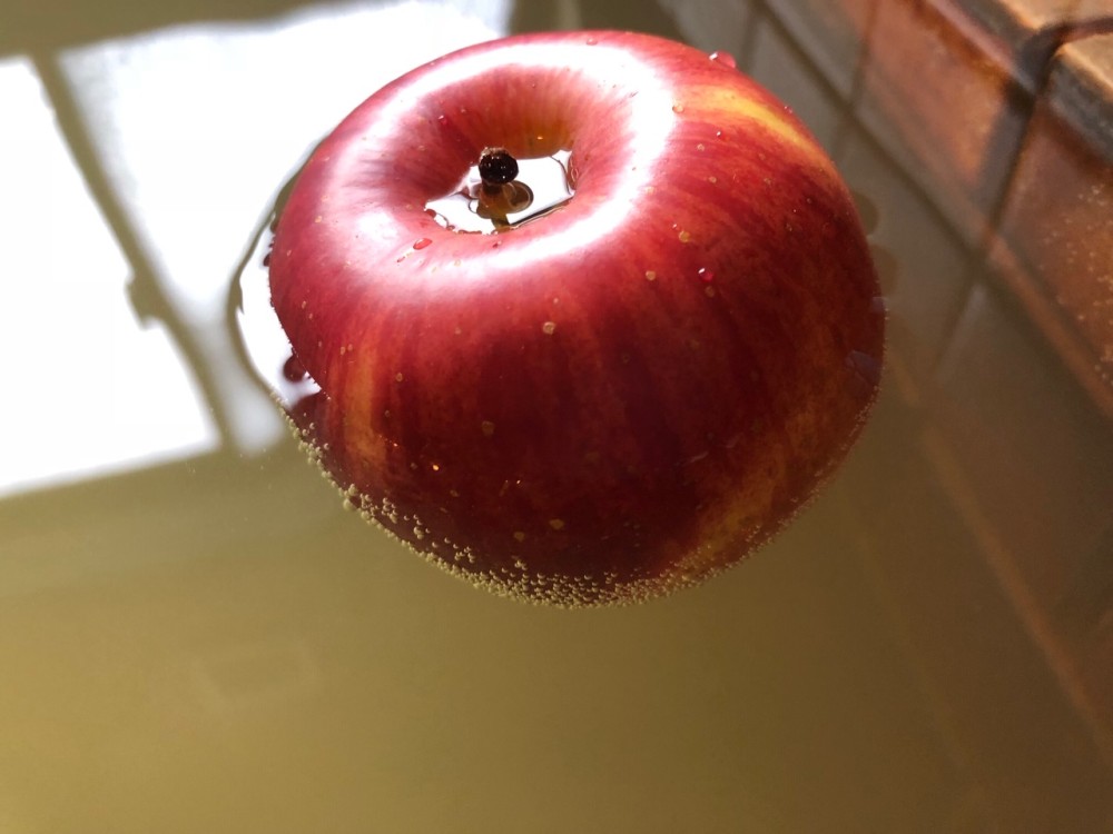 飯南町産のリンゴを使用しますの施設画像 - 10