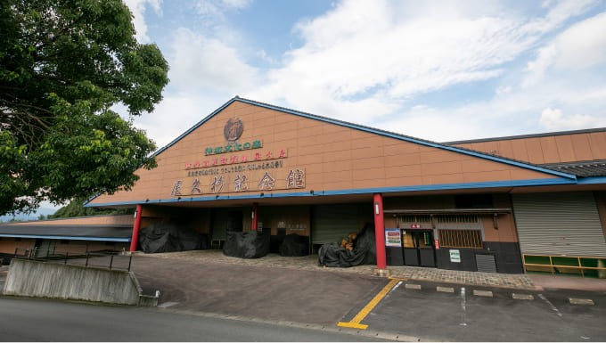 屋久杉記念館の施設画像 - 4