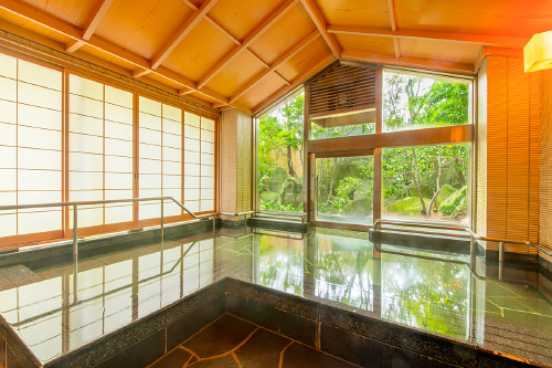 長島温泉 湯あみの島画像1