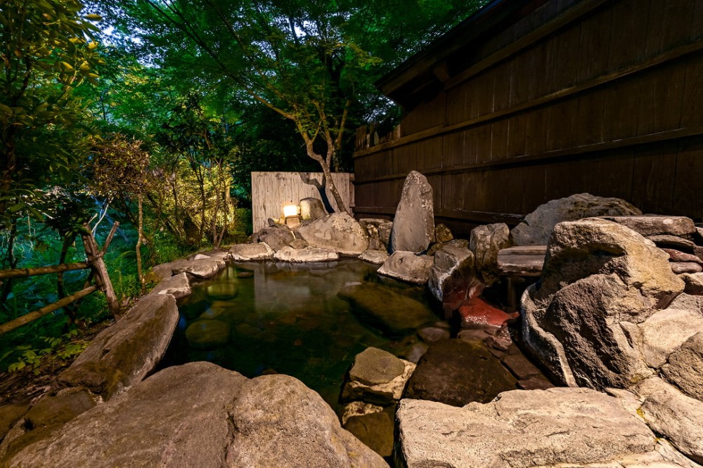 山川温泉 小杉庵画像2