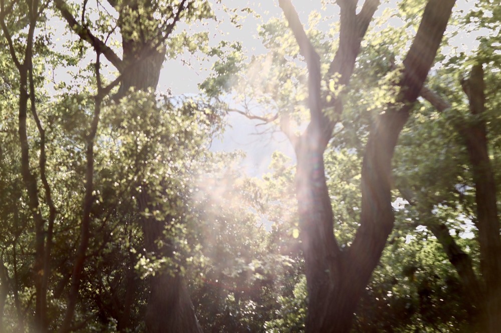 風景の施設画像 - 5