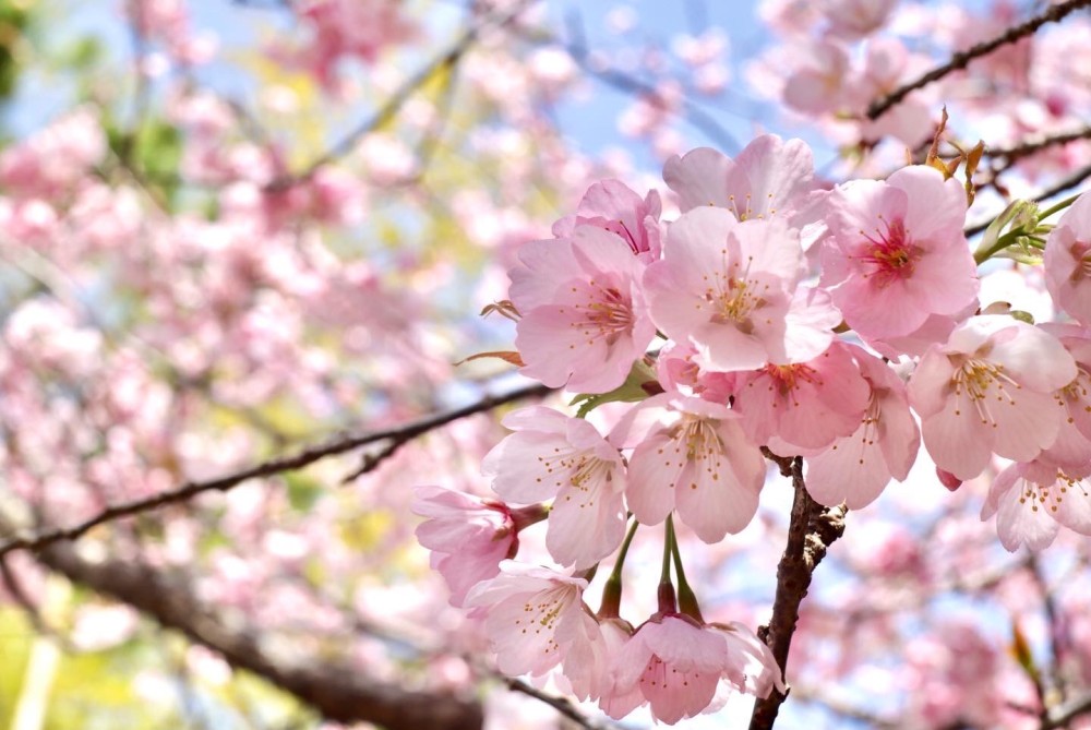 風景の施設画像 - 12