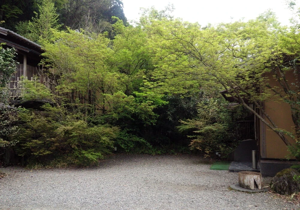 景観　新緑の季節の施設画像 - 16