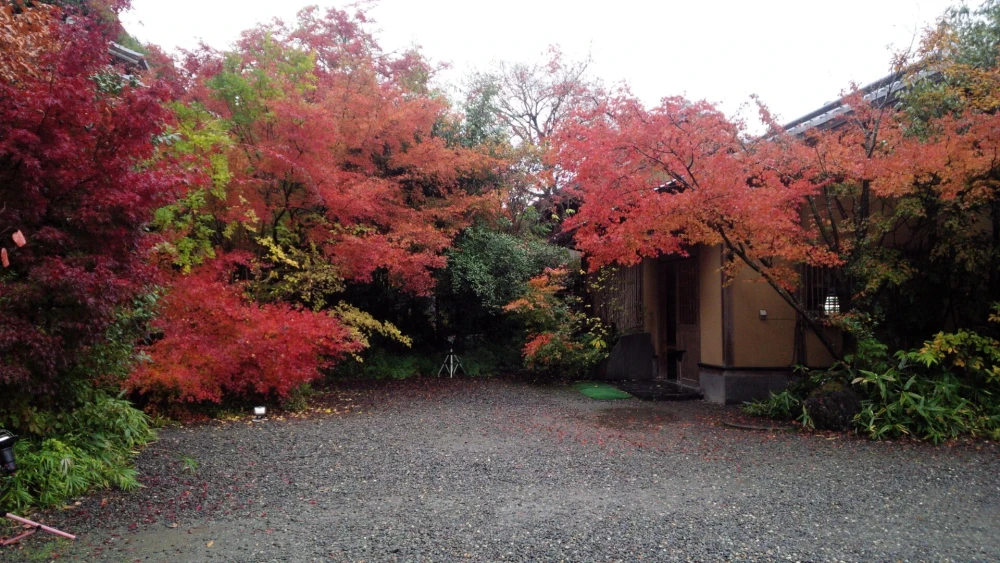 景観　秋～紅葉の施設画像 - 18