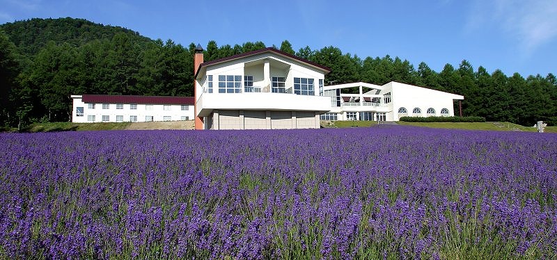 ハイランド ふらの画像1