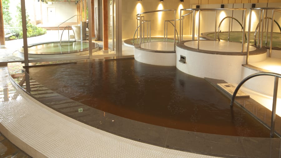 大浴場 女性内湯 源泉かけ流しの施設画像 - 8