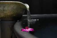 大進館極 のサムネイル画像