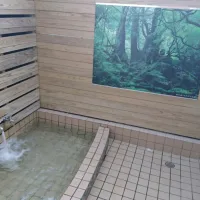 一心桜姶良温泉 のサムネイル画像