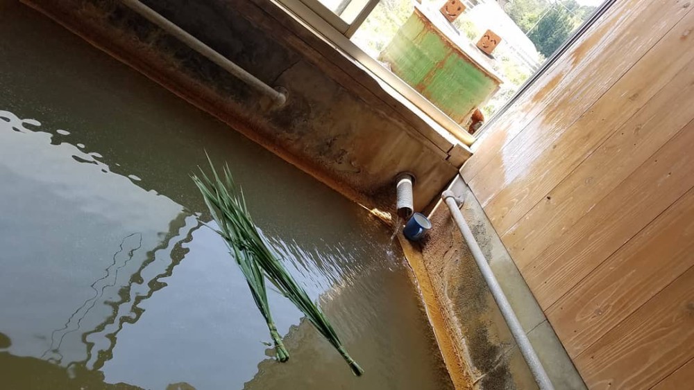 長湯温泉 きもと温泉の家族風呂のサムネイル画像