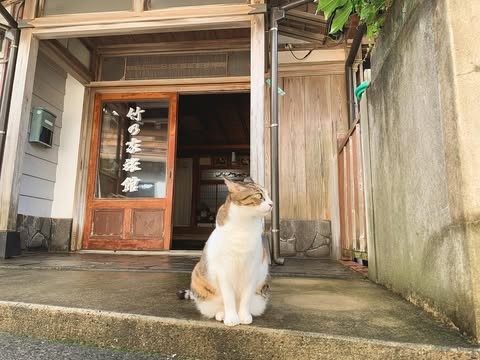 竹の家旅館画像3