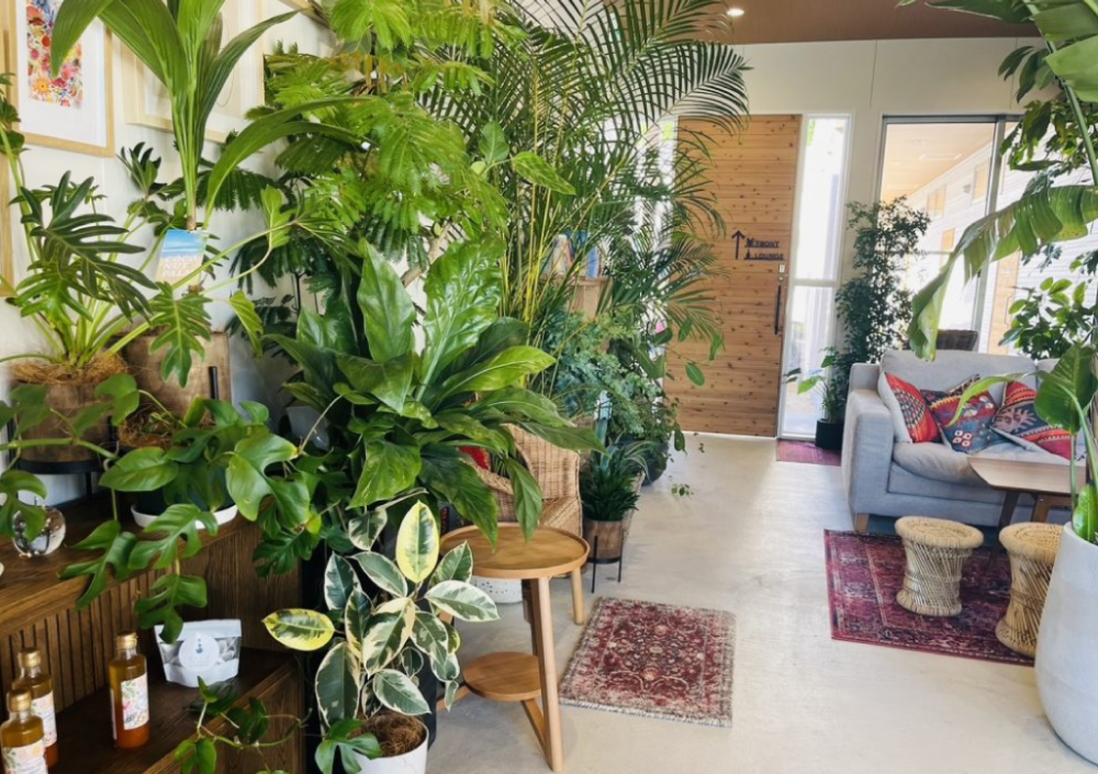 併設Cafe 森のCafe Magnoliaの施設画像 - 8