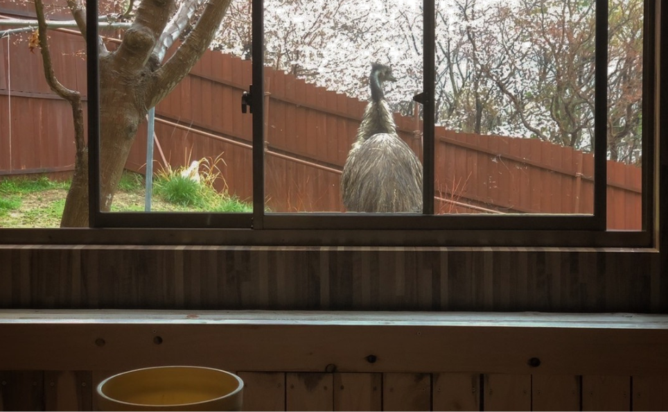 貸切風呂のサムネイル画像