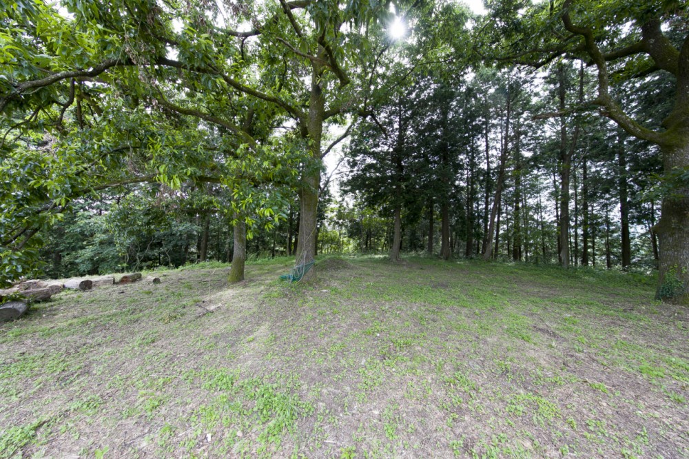 キャンプ場　林間スペースの施設画像 - 7