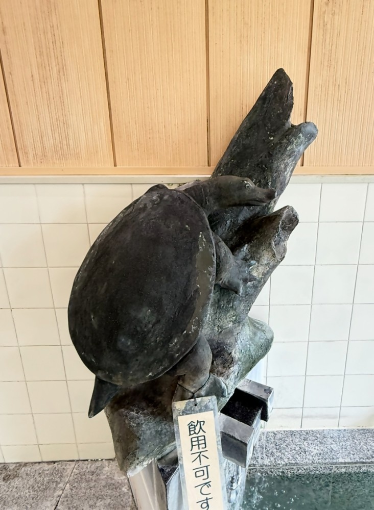 男湯(湯口) 湯口が安心院町名産のすっぽんとなっていますの施設画像 - 6